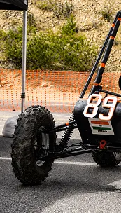 SAEINDIA