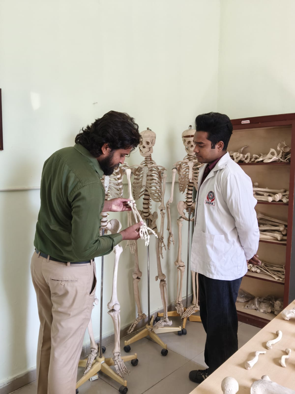 Anatomy