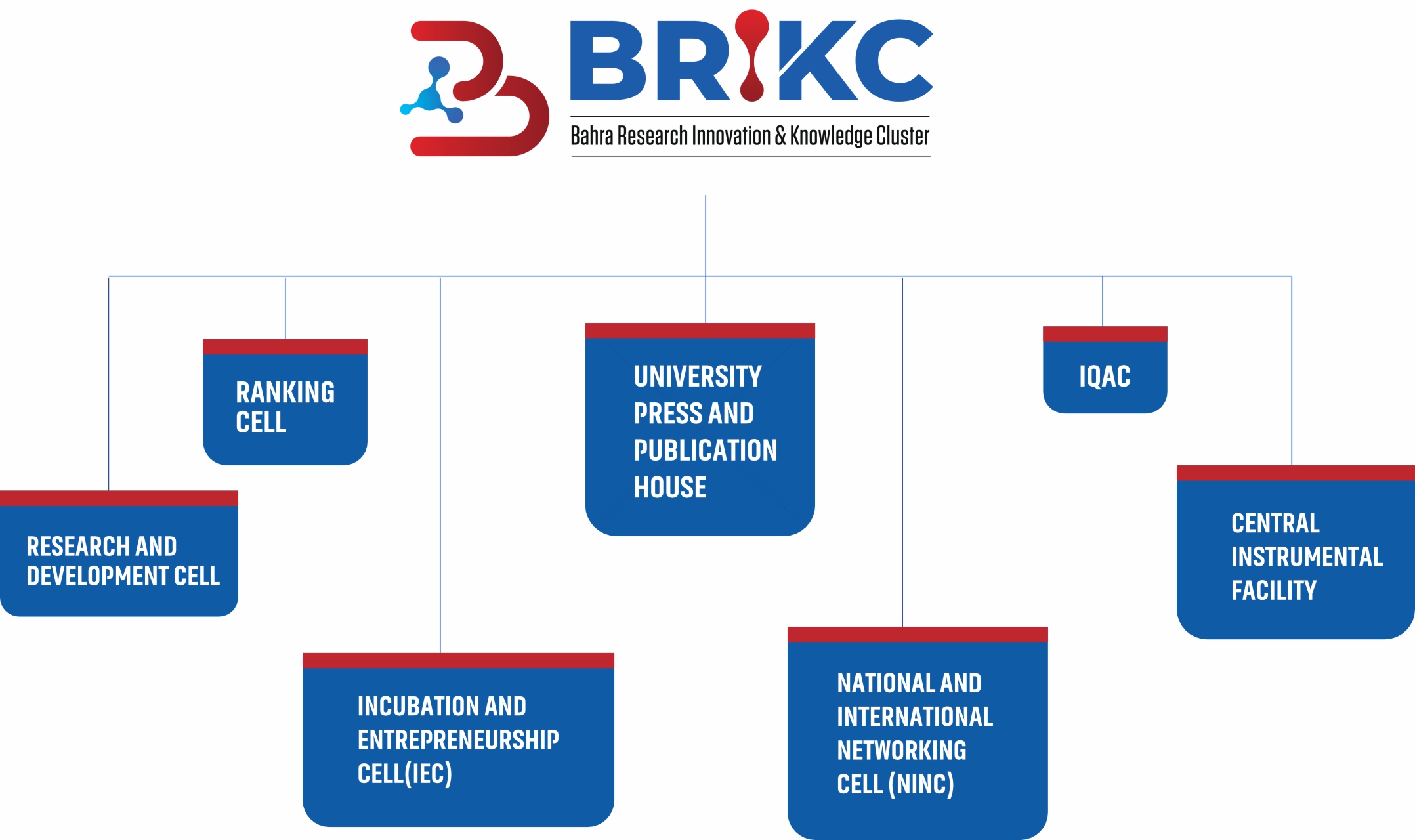 BRIKC Structure